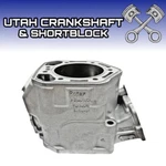 Ported Ski-doo 800 Ho Rev Mxz Cylinder 2003 420923817. Fixed Price $593.99.