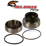 Balls Shaft Bearing And Seal Kit For 1999-2002 Arctic Cat Zl 600 Efi Iq. Fixed Price $47.42.
