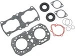 1998-1999 Polaris Indy Classic Wt Lx Vertex Complete Gasket Kit+oil Seals. Fixed Price $87.78.