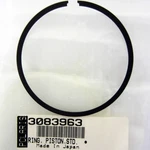 Polaris New Oem Atv Standard Piston Classic,touring,widetrak,sks. Fixed Price $35.99.