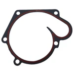 Polaris Water Pump Cover Gasket, 5811627. Fixed Price $12.99.