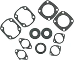 Vertex Gasket Set With Oil Seal For 1974-1979 Ski-doo Elan 250 Deluxe. Fixed Price $41.54.