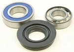 Balls Chain Fits Case Bearing & Seal Kit 14-1026. Fixed Price $44.00.
