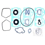 2010-2013 Ski-doo Mx Z Tnt/sport/summit 600 Spi Full Gasket Kit With Oil Seal. Fixed Price $104.26.