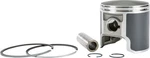 SP1 T-moly Piston 09-741-04 Ski-doo. Fixed Price $69.50.