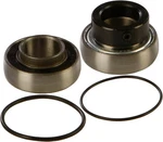 Arctic Cat,polaris,ski-doo Balls 141-9008 Chain Case Bearing & Seal Kit. Fixed Price $43.95.