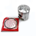Arctic Cat*piston Assembly W/ RINGS*3005-686*1987-1991 El Tigre/cheetah. Fixed Price $204.75.