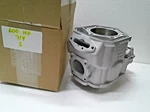 Skidoo 600 Ho Rev 613714 613710 Cylinder Snowmobile Engine Mxz Gsx $75 Refund. Fixed Price $395.00.