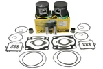 Arctic Cat 600, 2000-2002, Pro-x Pistons, Gasket Set, Bearings. Fixed Price $227.99.