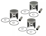3 Spi Standard Bore 72MM Piston Kits For 1994-1998 Polaris Storm 800 Se Sks Rmk. Fixed Price $194.98.