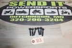BIN1 Arctic Cat 1996 Zrt 600 Cylinder Head Bolts Pack 3007-396. Fixed Price $16.99.