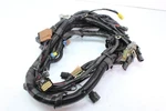 2008 Arctic Cat F1000 Oem Main Engine Wiring Harness Motor 1686-419. Fixed Price $250.00.