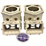 Ski-doo 600 Ho Sdi Cylinders Gsx Mxz Summit Renegade 613944 Oem 05-08. Fixed Price $971.99.