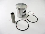 For Snowmobile Arctic Cat 440 Piston Kit 09-695-02 3003-885 3005-384 0.50 + Ring. Fixed Price $61.00.