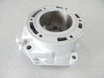 Arctic Snowmobile 2004-2011 600 F6 M6 Cf Firecat Sabercat Cylinder 3006-643. Fixed Price $399.99.