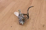 1999 Arctic Cat Zl 600 Oil Pump. Fixed Price $69.00.