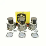 81MM Std Spi Pistons Top End Gaskets 99-01 Arctic 1000 Pantera Thundercat. Fixed Price $404.79.
