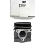 Polaris New Oem Snowmobile Cylinder EC55PM Trail,touring,super,sport,classic,rmk. Fixed Price $639.99.