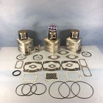 New Arctic Cat 600 Top End Kit Spi Pistons Gaskets 1995-2000 Zrt Powder Ex. Fixed Price $380.09.