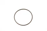 Oem Polaris 3084229, P760458 O-ring Nos. Fixed Price $5.99.