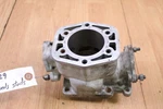 1980 Arctic Cat El Tigre 6000 Cylinder Jug. Fixed Price $89.00.