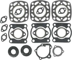 Vertex Gasket Set With Oil Seal For 1979 - 1982 Polaris Centurion Snowmobile. Fixed Price $80.62.