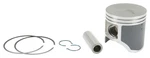 SP1 54-655PS SM-09141 Piston T-moly A/c. Fixed Price $109.99.