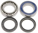 Balls Chain Case Bearing & Seal Kit #14-1065 Arctic Cat. Fixed Price $63.89.