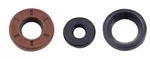 Engine Oil Seal Rebuild Kit Doo Gti Gtr Gts 130 230. Fixed Price $19.89.