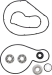 Vertex 721317 Water Pump Repair Kit. Fixed Price $53.49.