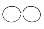 Oem Polaris 3084454 Piston Ring Qty 2 Nos. Fixed Price $22.89.