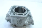 1999-2000 Ski-doo Mxz 600 Oem Engine Motor Cylinder New 420923435. Fixed Price $150.00.