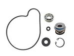 SP1 Water Pump Repair Kit For 1991 - 1993 Arctic Wildcat Snowmobile. Fixed Price $56.29.