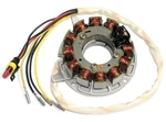 Stator For Ski-doo 420889365 420889369 420889368 420889366 Snowmobile Magneto. Fixed Price $210.00.