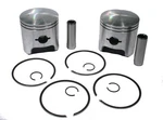 Arctic Wildcat 700, 1991-1996, Std Piston Kit Touring/mountain. Fixed Price $119.99.