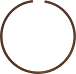 Wossner Replacement Piston Ring RST8800 High Quality Seal. Fixed Price $17.90.