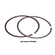 Wiseco Replacement Ring/ring Set 2895KD *only Fits Piston*. Fixed Price $57.99.