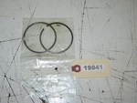 Polaris - New Oem Piston Rings Qty 3085298. Fixed Price $59.95.