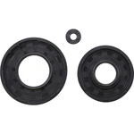 Vertex Engine Oil Seal Set For Arctic Cat 55182. Fixed Price $28.40.