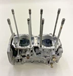 1999 Arctic Cat Z 440 Engine Motor Cases. Fixed Price $99.99.