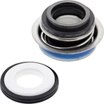 Vertex-winderosa Mechanical Water Pump Seal #503002 For Arctic Cat/yamaha FX10RT. Fixed Price $26.05.