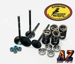 Yamaha Raptor 700 Kibblewhite +2 Intake & Exhaust Valves Springs Seals Head Kit. Fixed Price $285.06.