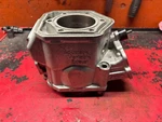 2004 2007 Rev Ski-doo Mxz 600 Ho Sdi Cylinder Engine Gsx Summit Renegade 05 06. Fixed Price $185.03.