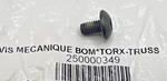 Ski-doo Oem Torx Truss Screw (M6 10), 250000349. Fixed Price $6.55.