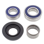 Balls Chain Case Bearing And Seal Kit Ski Doo Formula 500 97-98. Fixed Price $50.00.