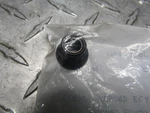 Ski-doo Many Years & Models Oem Flanged Elastic Nut M10 233201466. Fixed Price $7.98.