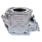 New Std Bore Oem Cylinder 2009-2019 Ski-doo 600 H.o. E-tec Mxz Rs Renegade Gsx. Fixed Price $485.99.