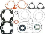 1998-2001 Polaris Indy Rmk Vertex Complete Gasket Kit With Oil Seals. Fixed Price $85.46.
