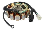Arctic Thundercat 900, 1993-1997, Stator New 3005-251. Fixed Price $91.99.
