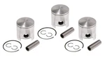 3 Spi Piston Kits 1984-1987 For Polaris Indy 600 Se Le Standard Bore 65MM. Fixed Price $199.95.